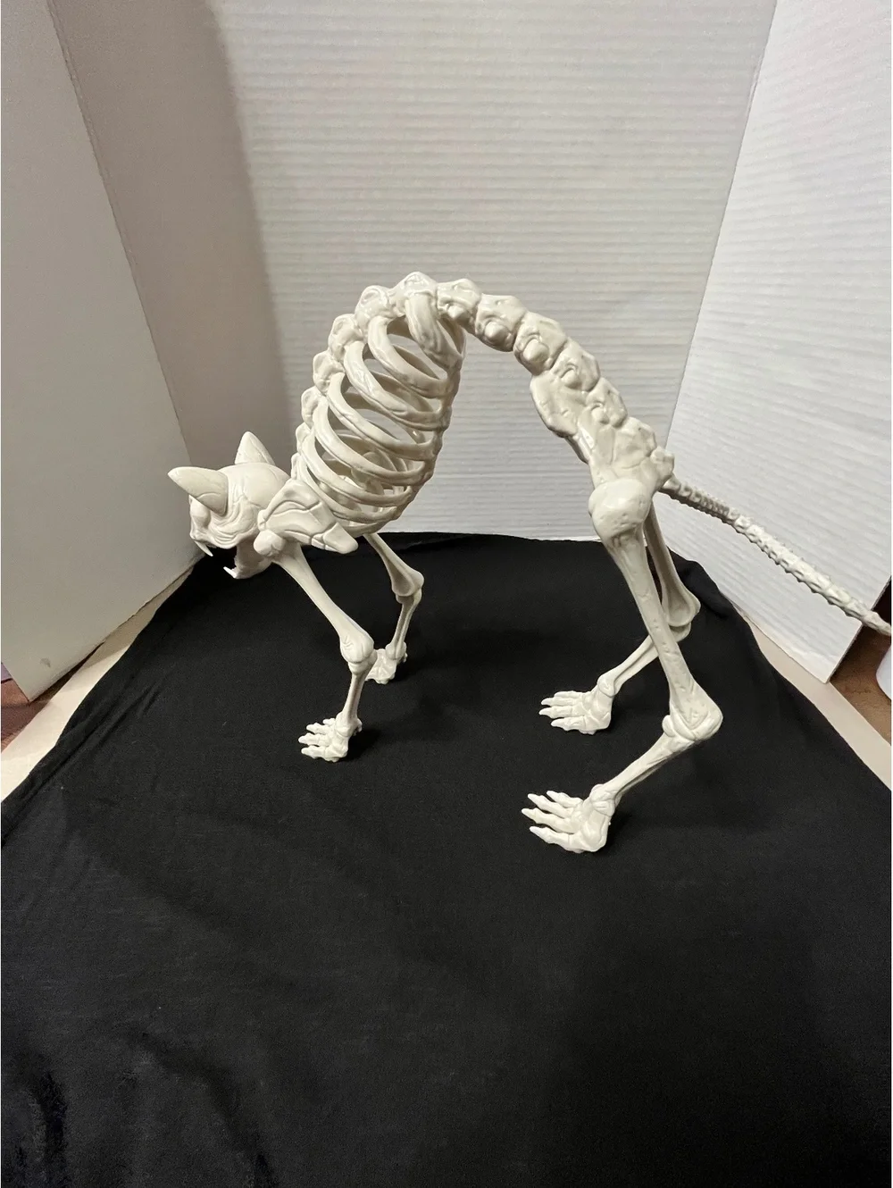 Spooky Cat Skeleton Decor - Perfect for Halloween Vibes
